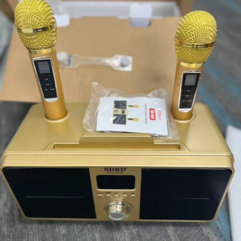 Apple Music Audio Quality - スピーカーファミリー KTV 高品質サウンドキット 統合ワイヤレスマイク ライブオーディオカード Bluetooth